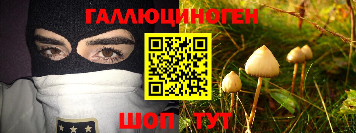 Галлюциногенные грибы Cubensis Мытищи