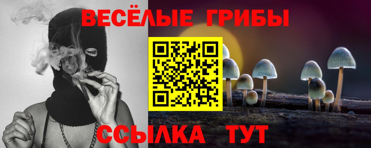 Галлюциногенные грибы Psilocybine cubensis  Псилоцибиновые грибы GOLDEN TEACHER  сколько стоит  Мытищи  Вход с VPN 